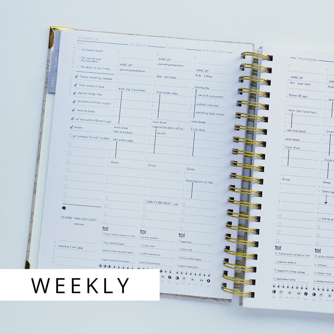 2025 STARTplanner Spiral Art Weekly (Dated)