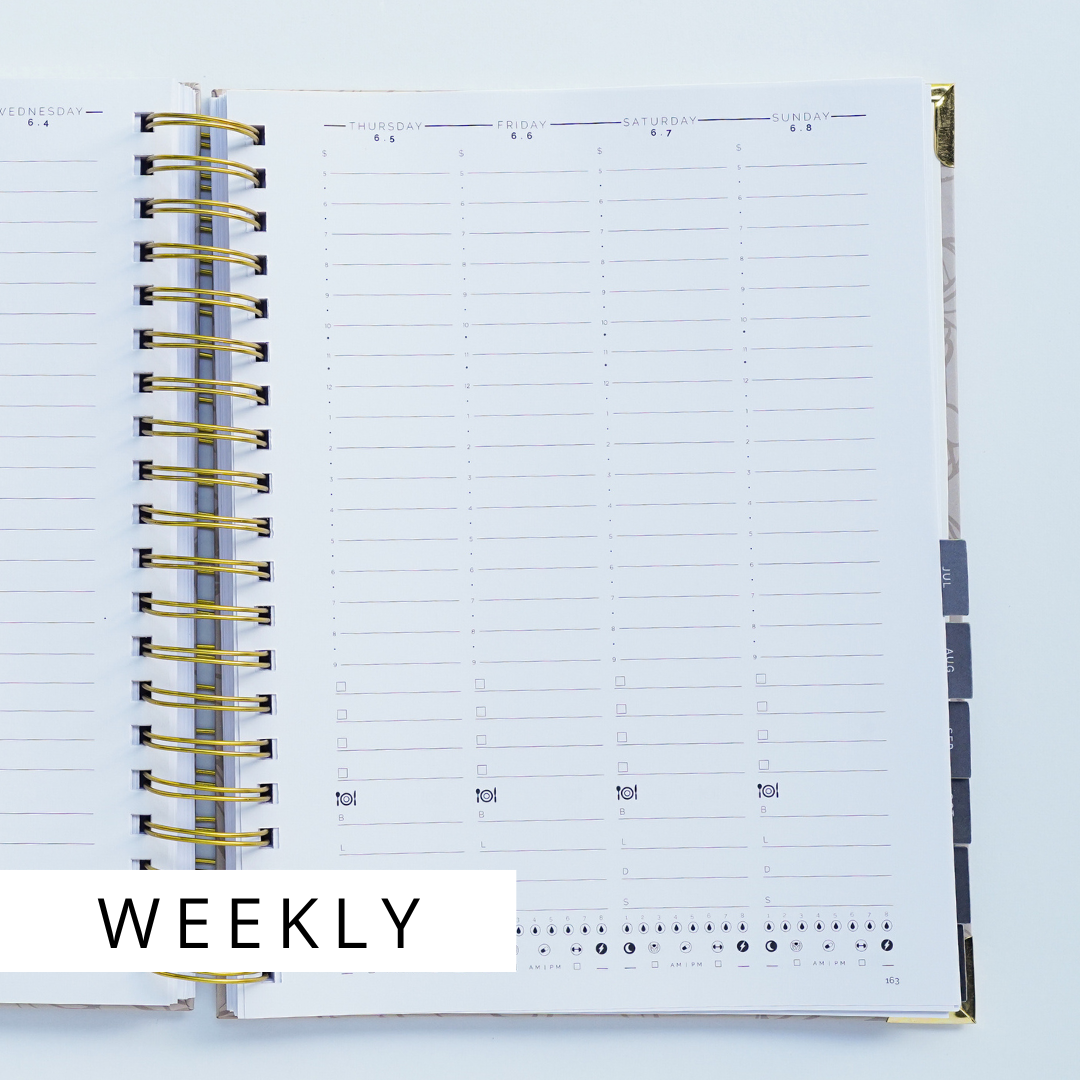 2025 STARTplanner Spiral Art Weekly (Dated)