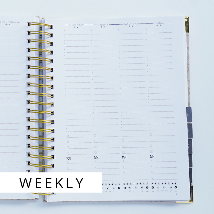 2025 STARTplanner Spiral Art Weekly (Dated)