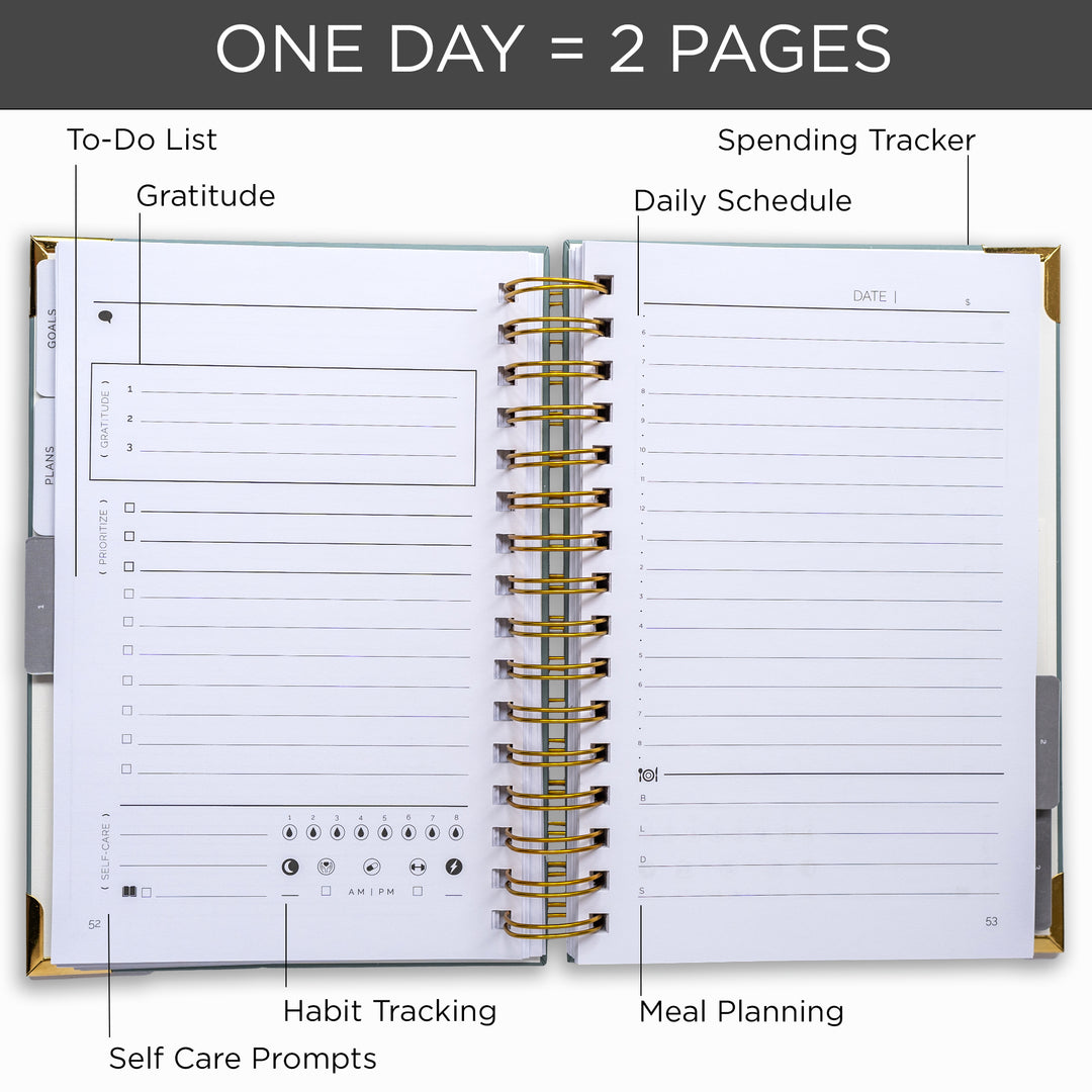 The STARTplanner Quarterly Undated Leaf Brush Strokes - Pack of 4