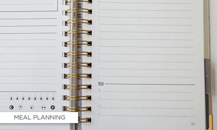 The STARTplanner Quarterly Undated Purple Bloom - Pack of 4