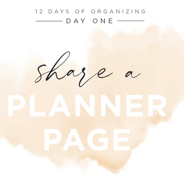 12 Days of Organization – STARTbrands