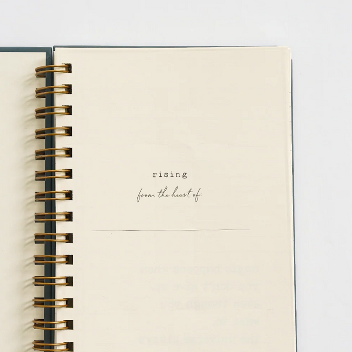The Growth Collection | Set of 3 JmStorm Journals